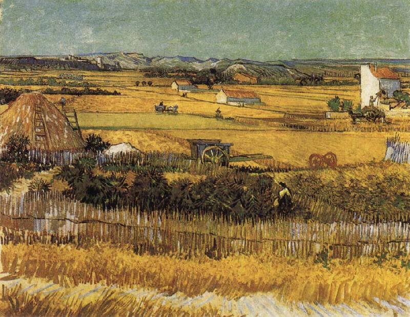 Vincent Van Gogh Harvest at La Crau,with Montmajour in the Background France oil painting art